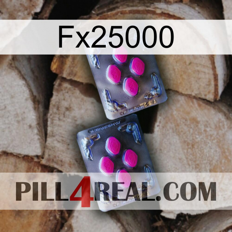 Fx25000 01